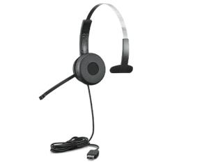 Headset 100  - Mono - USB - Black